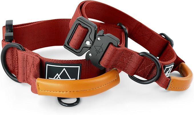 Made to Roam Premium Explorer Control Collar - Adjustable Heavy Duty Nylon Dog Collar with Quick-Release Metal Buckle and Leather Handle (Texas Flair, Size 3, Control)