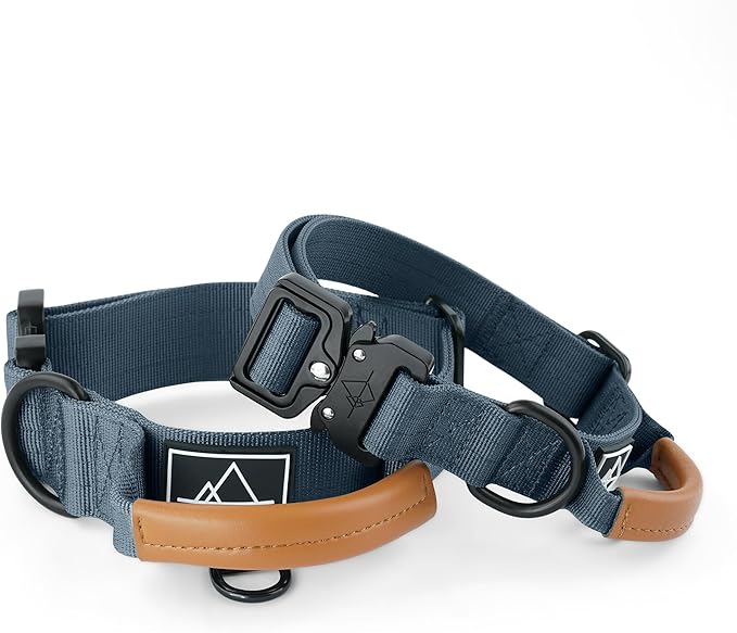 Roam Made toPremium Explorer Control Collar - Adjustable Heavy Duty Nylon Dog Collar with Quick-Release Metal Buckle and Leather Handle (Colorado Nightsky, Size 5, Control)