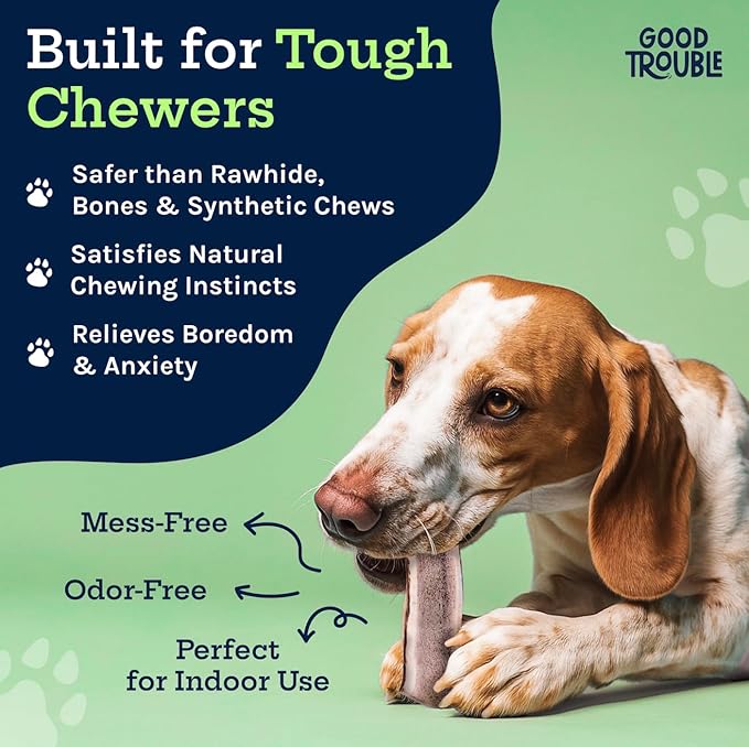 Good Trouble Premium Elk Antlers for Small Dogs – 1 Pack Split - All-Natural, Shed Antler Chews for Dental Health & Calming - Durable Dog Bones - Cruelty-Free, North American Sourced
