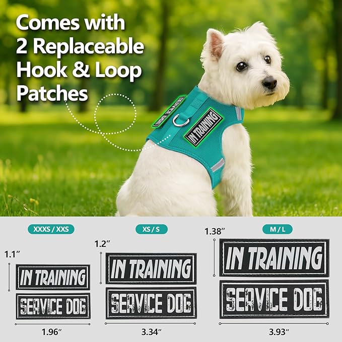 Dog Harness for Puppy – Adjustable Reflective Easy Put On Soft Mesh Vest for Small Dogs with 2 Patches (MARRS Green,XXS)