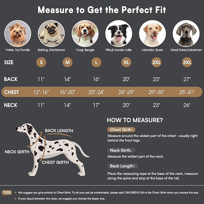 Queenmore Winter Dog Coat Warm Dog Jacket Vest Waterproof Puffer Fleece Snowsuit Adjustable Buckle Leash Hole Reflective Cold Weather Parka for Small Medium Large Dogs Girl Boy Orange XXXL