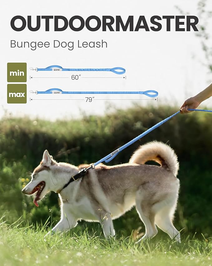OutdoorMaster Bungee Dog Leash, Heavy Duty Dog Leash with Shock Absorption, 2 Padded Handles Training Leash, Improved Dog Safety and Comfort (Blue, 6 FT)