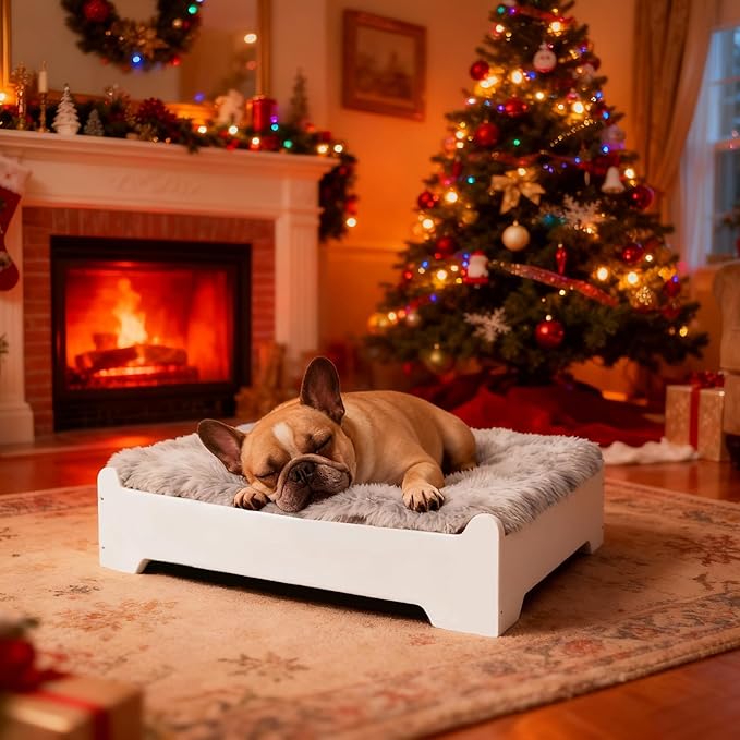 Elevated Dog Bed,27×21 Inch Small Raised Dog Couch with Cover, White S Supports up to 40lbs