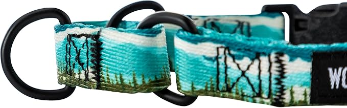 Wolfgang Heavy Duty Martingale Dog Collar with Quick Release Nylon Buckle for Walking & Training, GreatEscape Print, Medium
