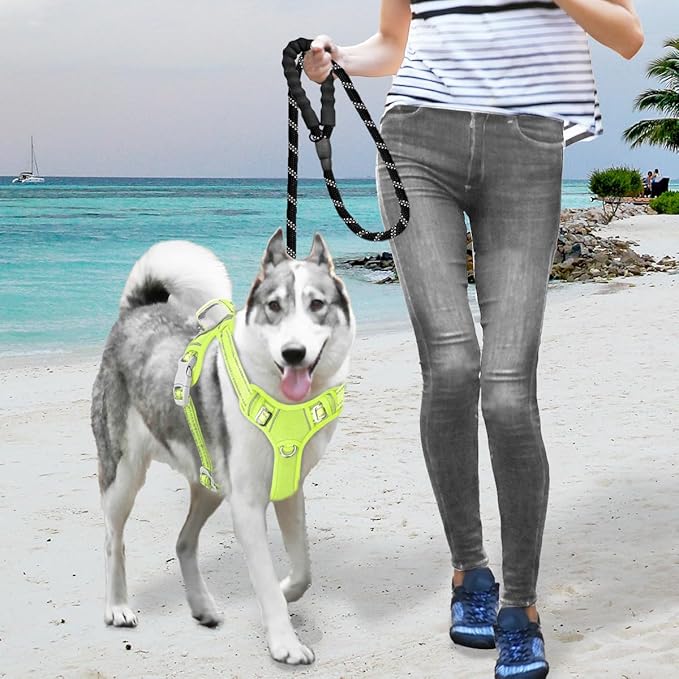 BARKBAY No Pull Dog Harness Large Reflective Dog Harness with Front Clip and Easy Control Handle for Walking Training Running with ID tag Pocket(Sunlight,M)