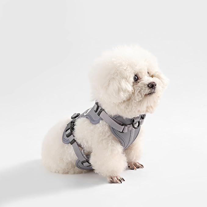 HNS1001N Arlo Small Adjustable Soft Padded No Pull Pet Harness with 3 Buckles and 3 Leash Clips, Martini