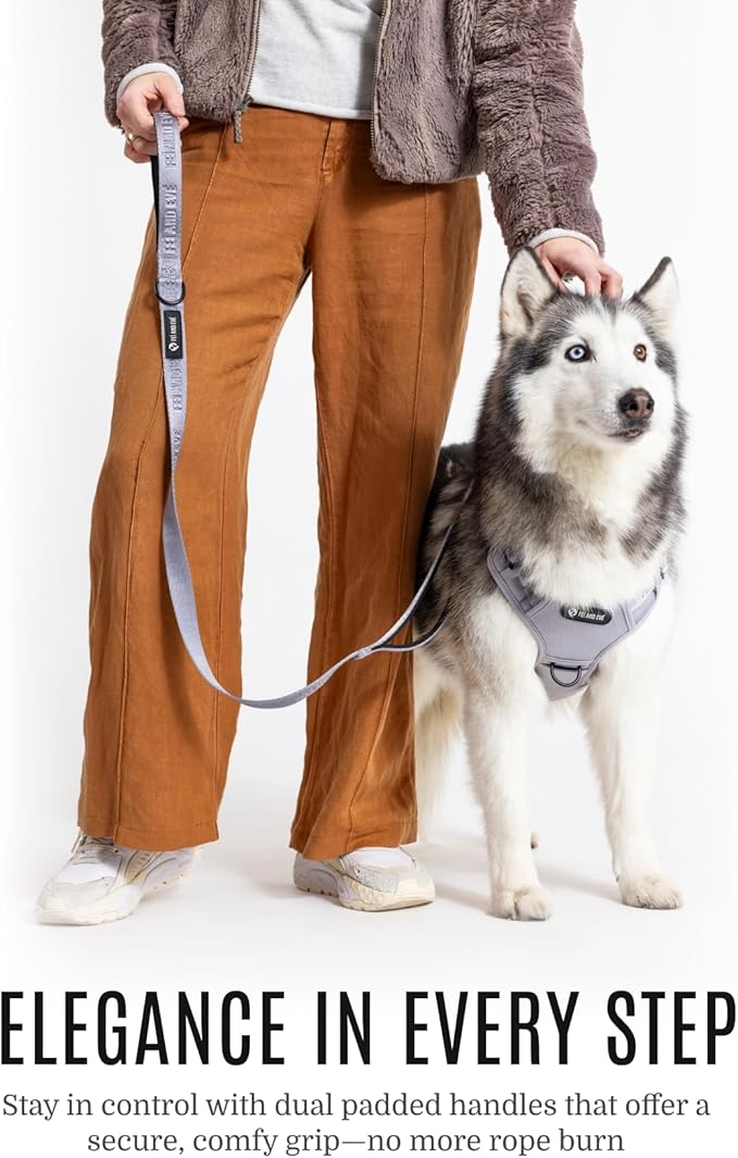 2025 New Edition, Fei & Eve Classic Dog Leash - 6FT, Dual Padded Handles, 360° Swivel Hook, Heavy Duty 210D Nylon - No-Pull Design with Traffic Control Handle - for Small/Medium/Large Dogs, Gray