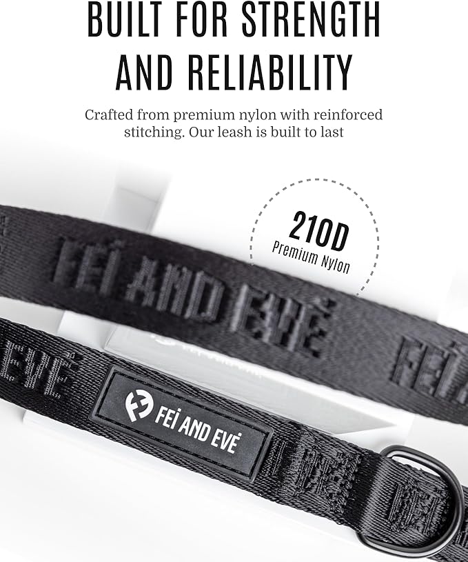 2025 New Edition, Fei & Eve Classic Dog Leash - 4FT - for Small/Medium/Large Dogs, Sable