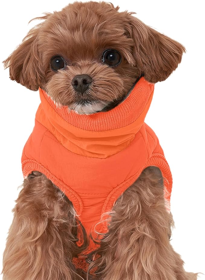 Dog Winter Coat with Neck Guard, Adjustable Neck, Chest Velcro & Detachable Buckle, Warm Polyester Lining, Multi-Way Wear for Small Dogs (Orange, XX-Large)