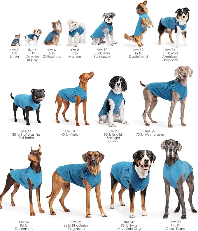 Goldpaw Stretchy Fleece Jacket for Small Dogs - Super Soft, Warm Dog Sweater - Pet Sweater Vest for Fall and Winter - Canine Clothes Made in The USA - Machine Washable - Marine Blue - Size 18