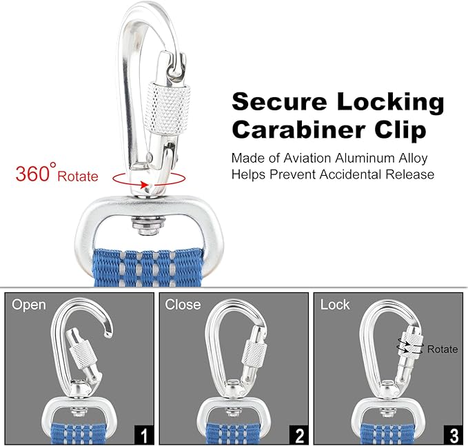 Plutus Pet Heavy Duty Dog Leash with Lockable Aluminum Carabiner, 4/6 Feet Long, Double-Sided Reflective Nylon, Padded Handle, for Puppy, Small, Medium and Large Dogs (Blue, 1" x 6')