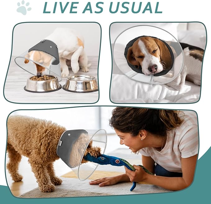 Dog Cone Collar with Snap-on Detachable Soft Liner, Lightweight Transparent Elizabethan Alternative to Stop Licking, for Spay Neuter Surgery Recovery, for Medium Large Small Dogs (Light Black,2XL)