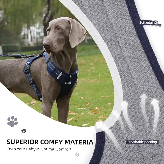 Dog Harness No Pull Adjustable Reflective,for Medium and Large Small Dog with Leash 59.06in (Dark Blue, XS)