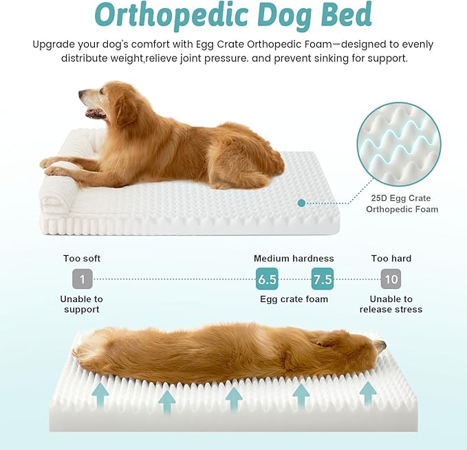 Cute Dog Bed, Faux Fur Orthopedic Foam Dog Bed with Sides, Removable Washable Cover & Waterproof Lining, Comfortable Pet Couch for Medium Dogs, Cream (36" L x 27" W x 6.5" Th)
