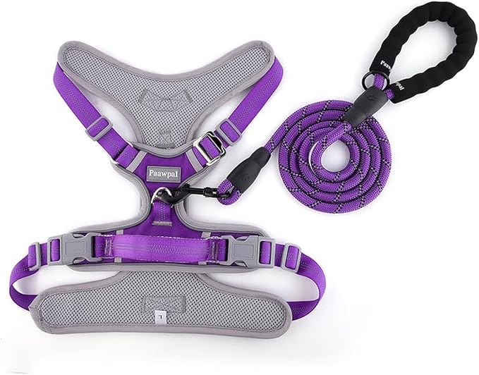 Adjustable Dog Harness - No Pull, Reflective, Soft Padded for Small, Medium, Large Dogs - Includes Leash Purple XL