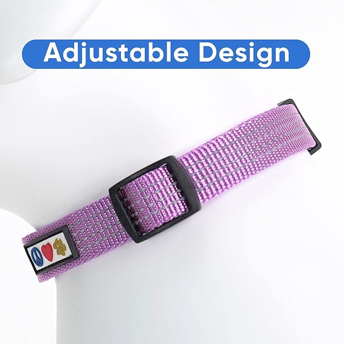 Pawtitas Reflective Dog Collar Adjustable Dog Collars for Small Dogs Puppy Collar Extra Small Dog Collar Orchid Purple Dog Collar