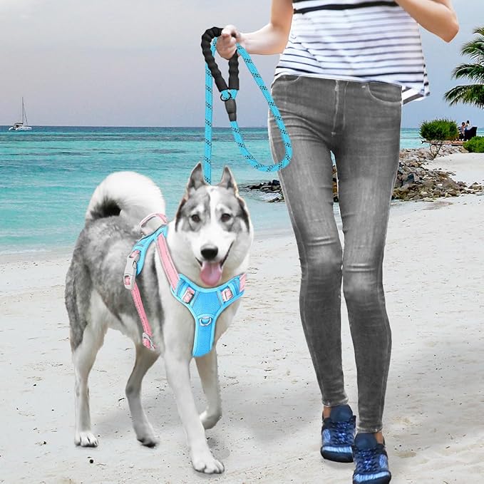 BARKBAY No Pull Dog Harness Large Reflective Dog Harness with Front Clip and Easy Control Handle for Walking Training Running with ID tag Pocket(Baby Blue & Baby Pink,L)