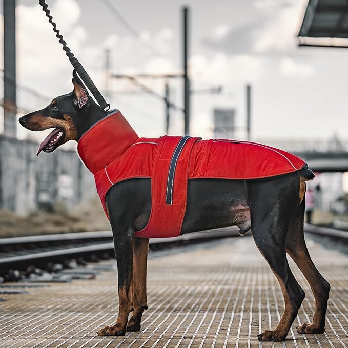 OneTigris Dog Coat Waterproof Dog Jacket with Adjustable Buckle Hook & Loop Windproof Cold Weather Coats for Small Medium Large Dogs (Red, X-Large)