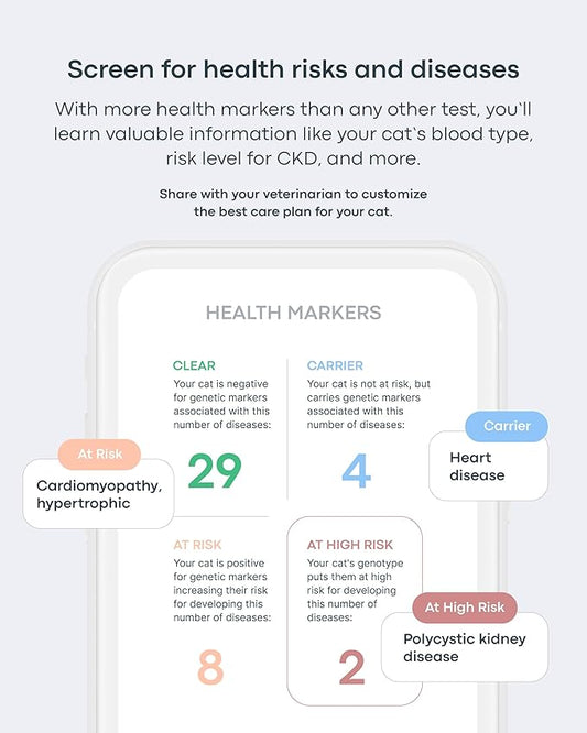 Basepaws Cat DNA Test Kit - Comprehensive Breed, Health and Dental Analysis Across 114 Traits for Accurate and Easy-to-Use Genetic Insights (Cat Whole Genome Sequencing, Basic)