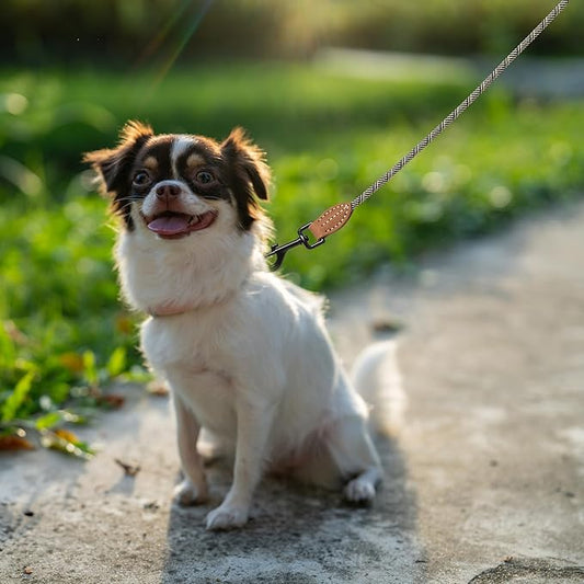 Mile High Life Small Dog Leash, Thin Rope Leash with Genuine Leather Connection and Heavy Duty Metal Clasp, Great for Small Medium Dogs(White,60 Inch-1/3)