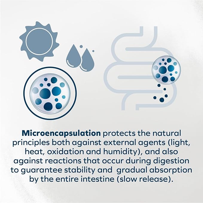 Forza10 - Cat Food, Vet-Formulated Renal Wet, Non GMO, Kidney Care Food with Lamb Flavor, Crafted for Adults, Made in Italy (3.5 oz, 12 Pack)