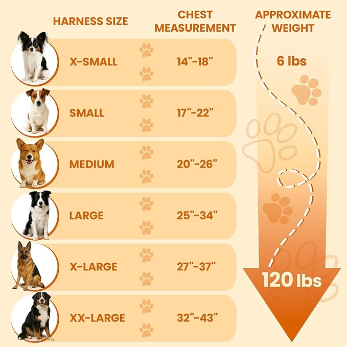 Bark Appeal Light Pink No-Pull Dog Harness for Large to Extra Large Sized Pets – Adjustable, Reflective Vest with 3 Leash Clips for Added Control, Easy Walks & Training – XL