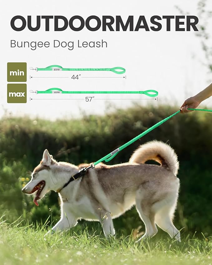 OutdoorMaster Bungee Dog Leash, Heavy Duty Dog Leash with Shock Absorption, 2 Padded Handles Training Leash, Improved Dog Safety and Comfort (Green, 4 FT)