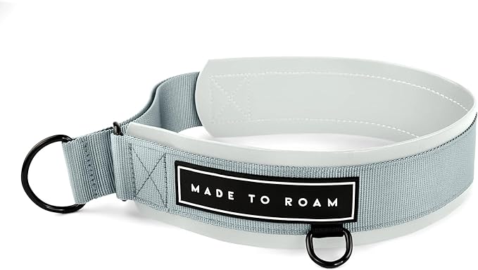 MADE TO ROAM Premium Everyday Dog Collar - Martingale Style No Pull Vegan Leather Collar, Heavy Duty and Lightweight for Small, Medium, Large Dogs (Alaska Daybreak, Size 11)