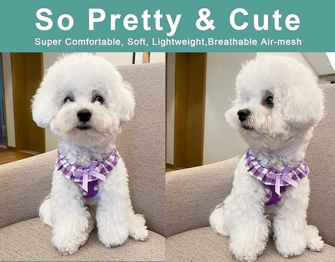 SuperBuddy Upgraded Soft Mesh Dog Harness, Super Breathable Lightweight Pet Harnesses for Puppy Dogs Outdoor Walking, Purple Dog Harness and Dog Leash Set Packing -XSmall