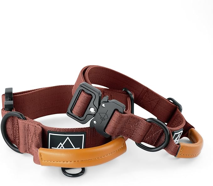 Roam Made toPremium Explorer Control Collar - Adjustable Heavy Duty Nylon Dog Collar with Quick-Release Metal Buckle and Leather Handle (Arizona Heartbeat, Size 5, Control)
