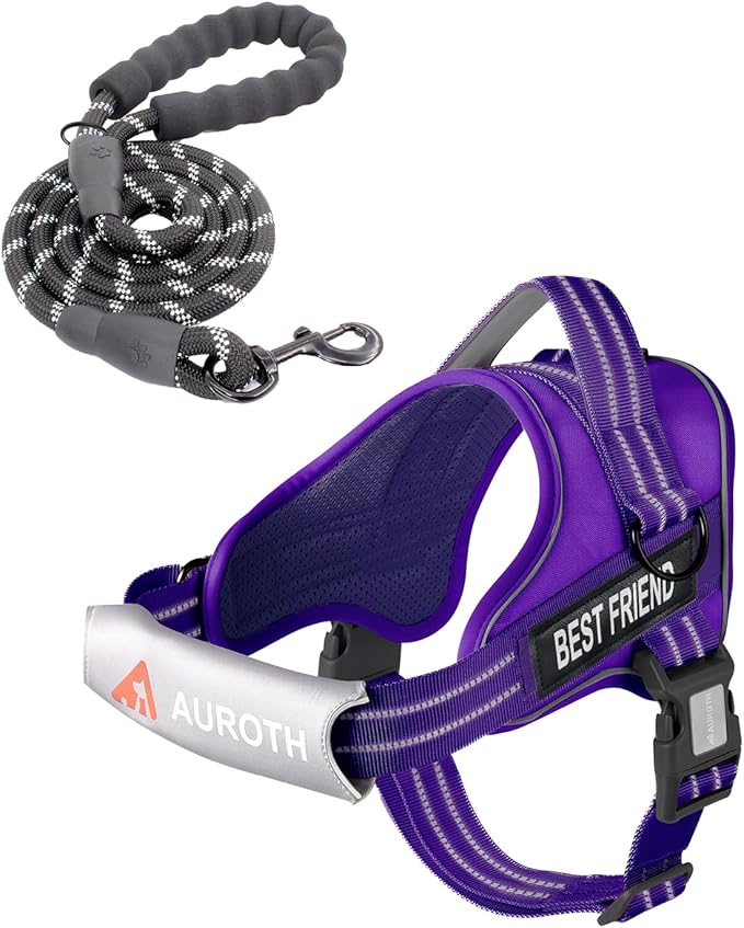 AUROTH Dog Harness and Leash Set, Soft Padded Service Dog Vest with 5.25FT Dog Leash, No Choke, Easy On Pet Vest, Adjustable Reflective No Pull Dog Harness Small Sized Dog, Easy Walking and Training