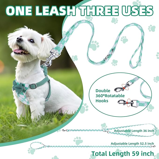 PUPTECK Dog Harness and Leash Set Small Sized, Step-in Cute Puppy Harness, Soft Lightweight Padded Vest, Escape Proof No Pull Pet Harnesses Easy for Walking, Plaid Green & White, XXS