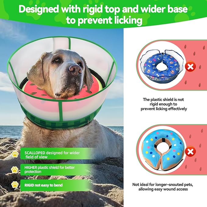 Upgraded Inflatable Dog Cone Collar with Transparent Anti-Licking Shield, Adjustable Elizabethan Collar for Medium Large Dogs, 2-in-1 Design with Detachable Shield and Soft Padding (L, Watermelon)