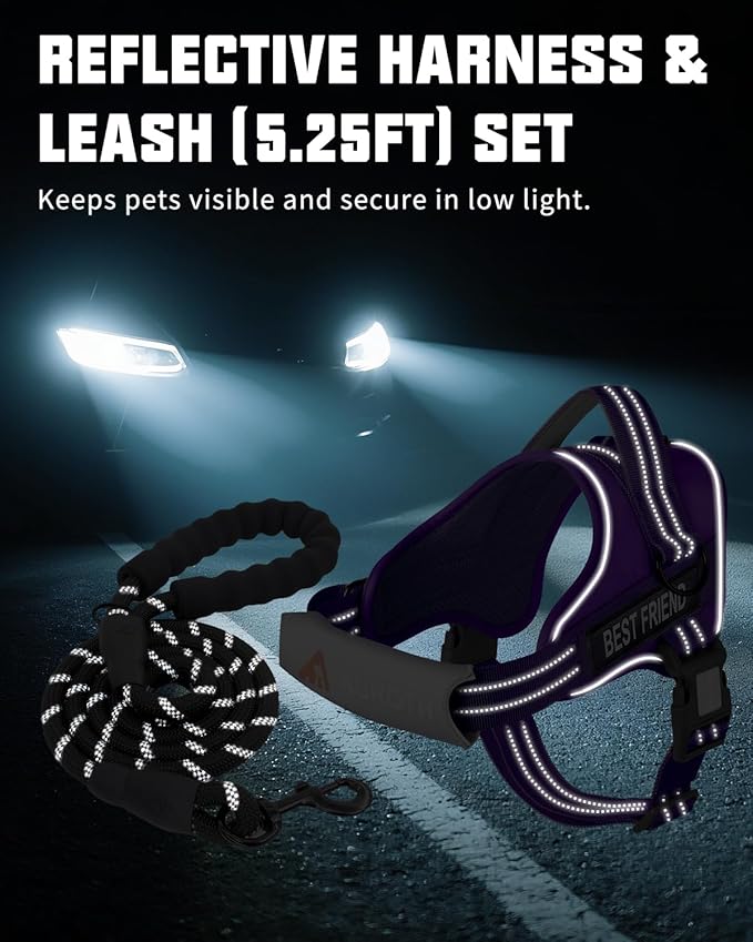 AUROTH Dog Harness and Leash Set, Soft Padded Service Dog Vest with 5.25FT Dog Leash, No Choke, Easy On Pet Vest, Adjustable Reflective No Pull Dog Harness Small Sized Dog, Easy Walking and Training