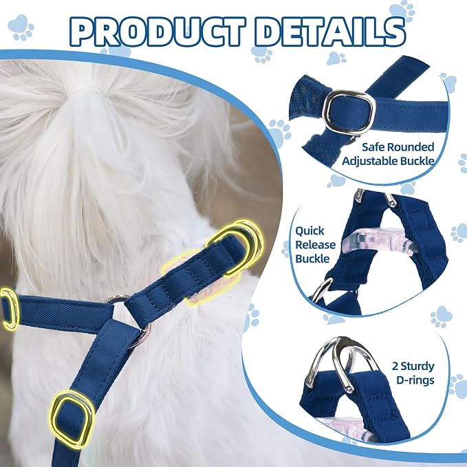 PUPTECK Dog Harness and Leash Set Small Sized, Step-in Cute Puppy Harness, Soft Lightweight Padded Vest, Escape Proof No Pull Pet Harnesses Easy for Walking, Blue, S