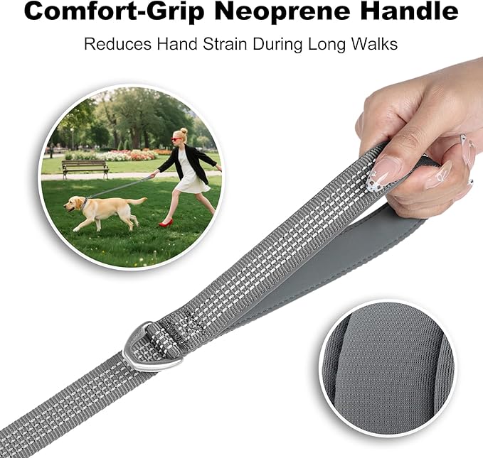 Plutus Pet Heavy Duty Dog Leash with Lockable Aluminum Carabiner, 4/6 Feet Long, Double-Sided Reflective Nylon, Padded Handle, for Puppy, Small, Medium and Large Dogs (Gray, 4/5" x 4')