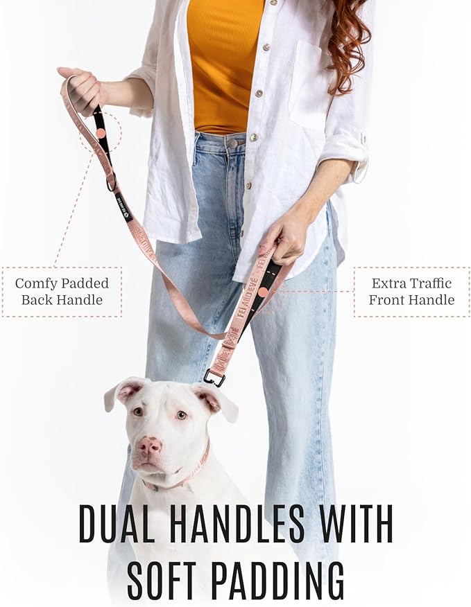2025 New Edition, Fei & Eve Classic Dog Leash - 4FT, Dual Padded Handles, 360° Swivel Hook, Heavy Duty 210D Nylon - No-Pull Design with Traffic Control Handle - for Small/Medium/Large Dogs, Blush