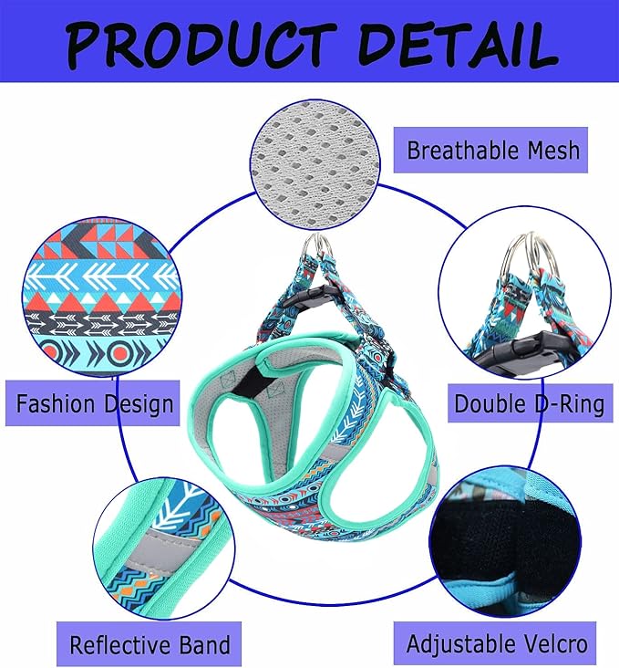 Moonpet Step in Boy Dog Harness Leash Set- All Weather Reflective No-Pull Padded Mesh Vest Harness for Cats Puppy Extra-Small Small Medium Large Dogs - Mayan Mysteries - XS