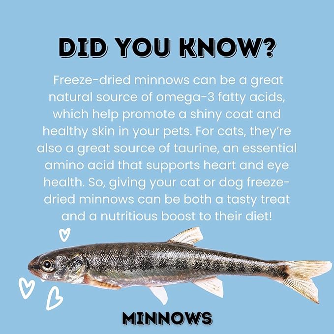 hotspot pets Freeze Dried Minnows Treats for Cats & Dogs (1 Pound Bag Over 400 PCS) (Made in USA) All Natural, High Protein, Rich in Omega-3s, Grain-Free,Perfect for Training, Topper or Snack