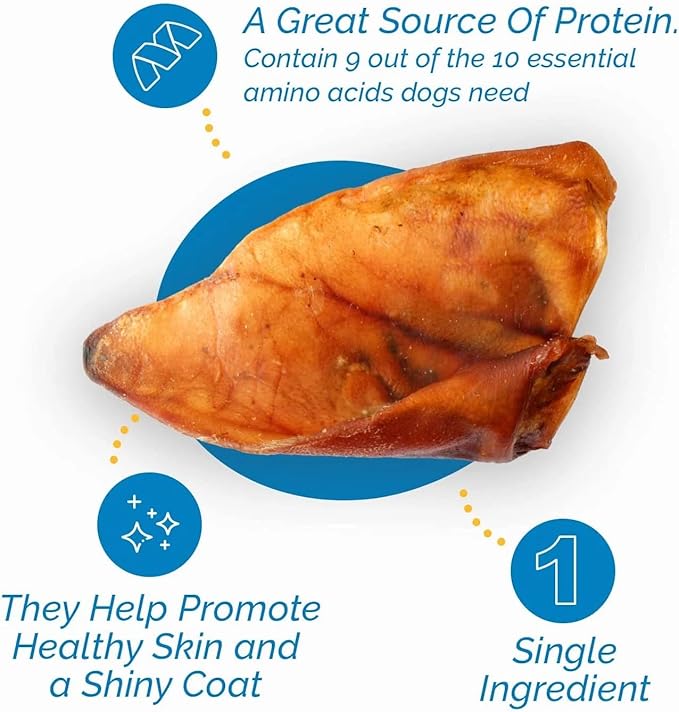 123 Treats Whole Pig Ears for Dogs - (30 Count) 100% Natural, Long Lasting & Highly Digestible Chew Treats, Single Ingredient, Slow Baked, Great for Puppy, Large & Medium Dogs