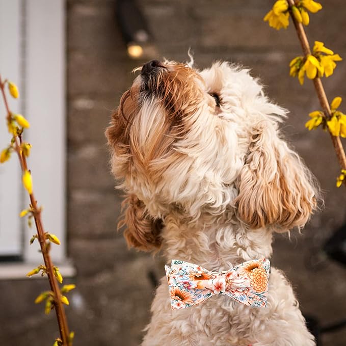 Lionheart Glory Floral Dog Bow Collar - Adjustable Bowtie for Small Dogs