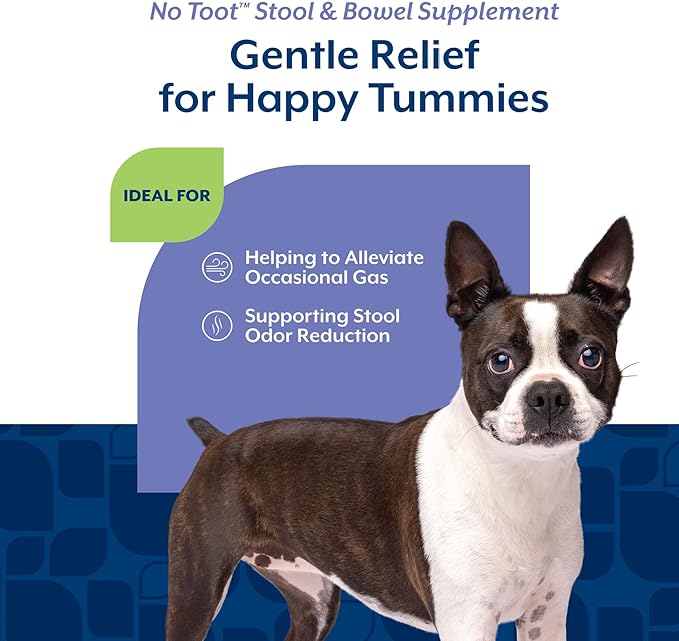 NaturVet – No Toot Gas Aid For Dogs Plus Fennel – 70 Soft Chews | Alleviates Intestinal Gas | Helps Reduce Stool & Urine Odors | 30 Day Supply