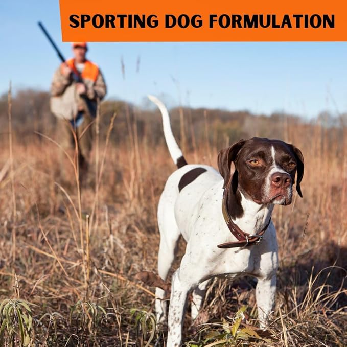 Healthy Ponds Dr. Connie's Natural Solutions Wound Repair & Care for Sporting Dogs | Veterinarian Formulated Skin Care Solution | Promotes & Enhances Skin Healing