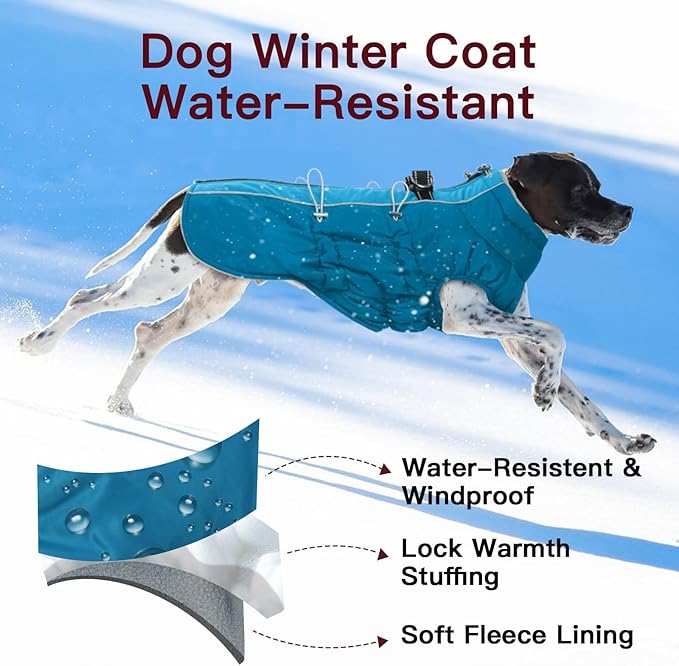 Winter Jacket - XS Warm Zip Up Snowsuit Harness Vest, Reflective Water-Resistant Coat for Small Dogs, Chihuahua, Teacup Puppy, Green