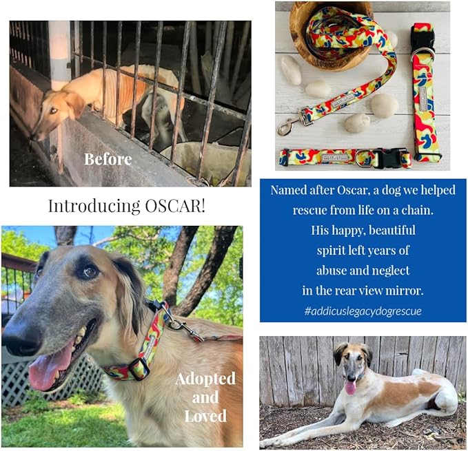 Lucky Love Dog - Adjustable Dog Collar with Easy Click Buckle for Small to Large Dogs, Durable, & Comfortable for Male & Female Dogs, Pet Collar for Puppies & Adult Ones - Oscar, Large