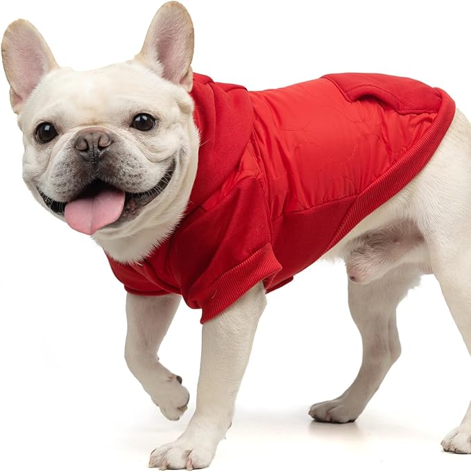 KOOLTAIL Warm Dog Winter Coat for Small Dogs, Waterproof Puppy Jacket with Leash Hole,Cold Weather Pet Vest for Winter, Soft Hoodie Sweater Sweatshirt Clothes Outfit for Puppy Cats Girls Boys Red S