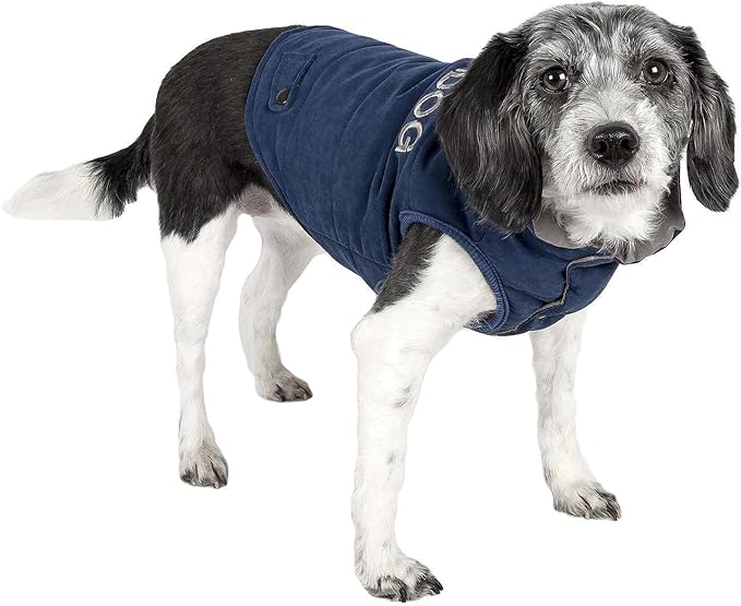 TOUCHDOG 'Waggin Swag' Fashion Designer Reversible 3M Insulated Pet Dog Coat Jacket, X-Large, Blue / Grey