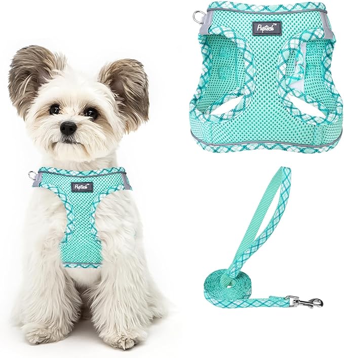 PUPTECK Dog Harness and Leash Set for Small Medium Dogs No Pull Step-in Soft Mesh Puppy Cat Vest Harnesses Reflective at Night, Upgraded New Green XS