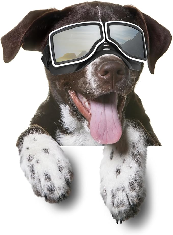 PETLESO Dog Goggles Medium Large Breed, UV400 Dog Sunglasses for Pet Outdoor Riding Driving Hiking, Windproof Snowproof Eyes Protection, Breathable Frame Adjustable Strap, Black