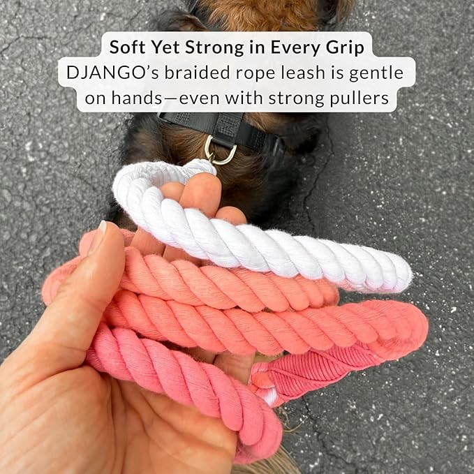 DJANGO Cotton Rope Dog Leash 5ft – Handcrafted Dog Leash and Pink Ombre Braided Leash for Small, Medium, and Large Dogs – Stylish and Durable 5 Foot Training Lead with Silver Hardware – Quartz Pink